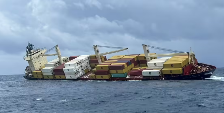 MSC ELSA 3